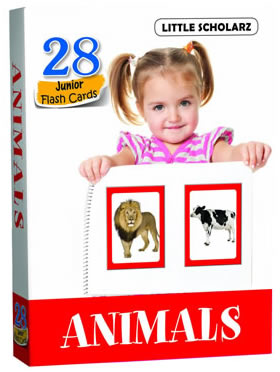 Flash Cards - ANIMALS