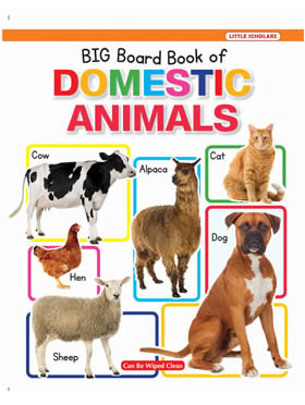 Big Board Book of Domestic Animals