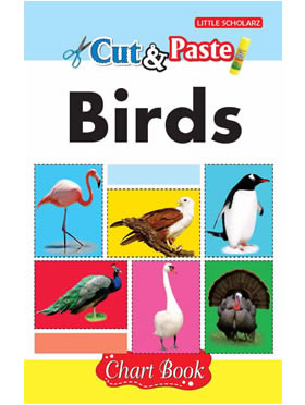 Cut & Paste - Birds