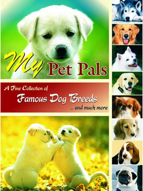 My Pet Pals