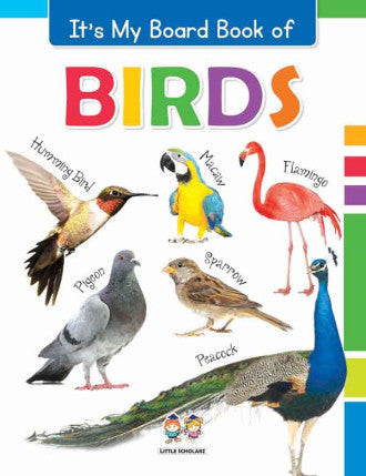 It's My Big Board Book of BIRDS